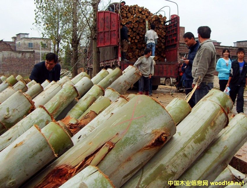 �V�����ԭľ