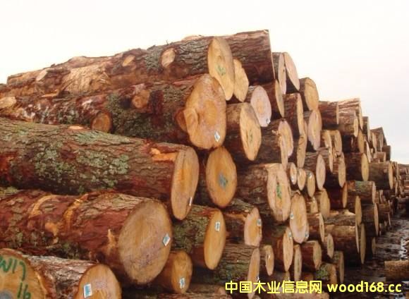 ӡ���������mԭľ�������M���Ј� 2017�������^�m���L