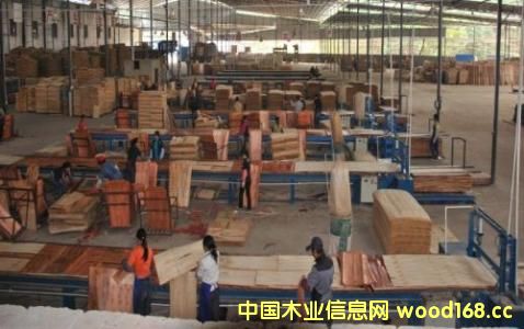 ӡ���z�ϰ�����(qi��ng)�ţ�����(y��ng)���� �o�Ї�(gu��)�������I(y��)���������C(j��)