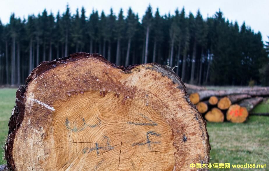 ȫ��ľ���Ј��������r���ϝq �����ИI����ϴ��