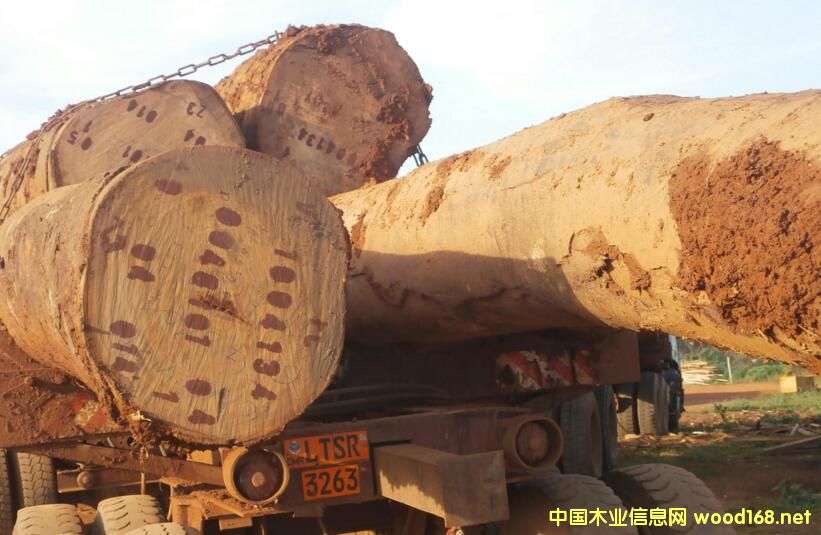 ����¡2017��������ԭľ��������20%�ĳ��ڶ�