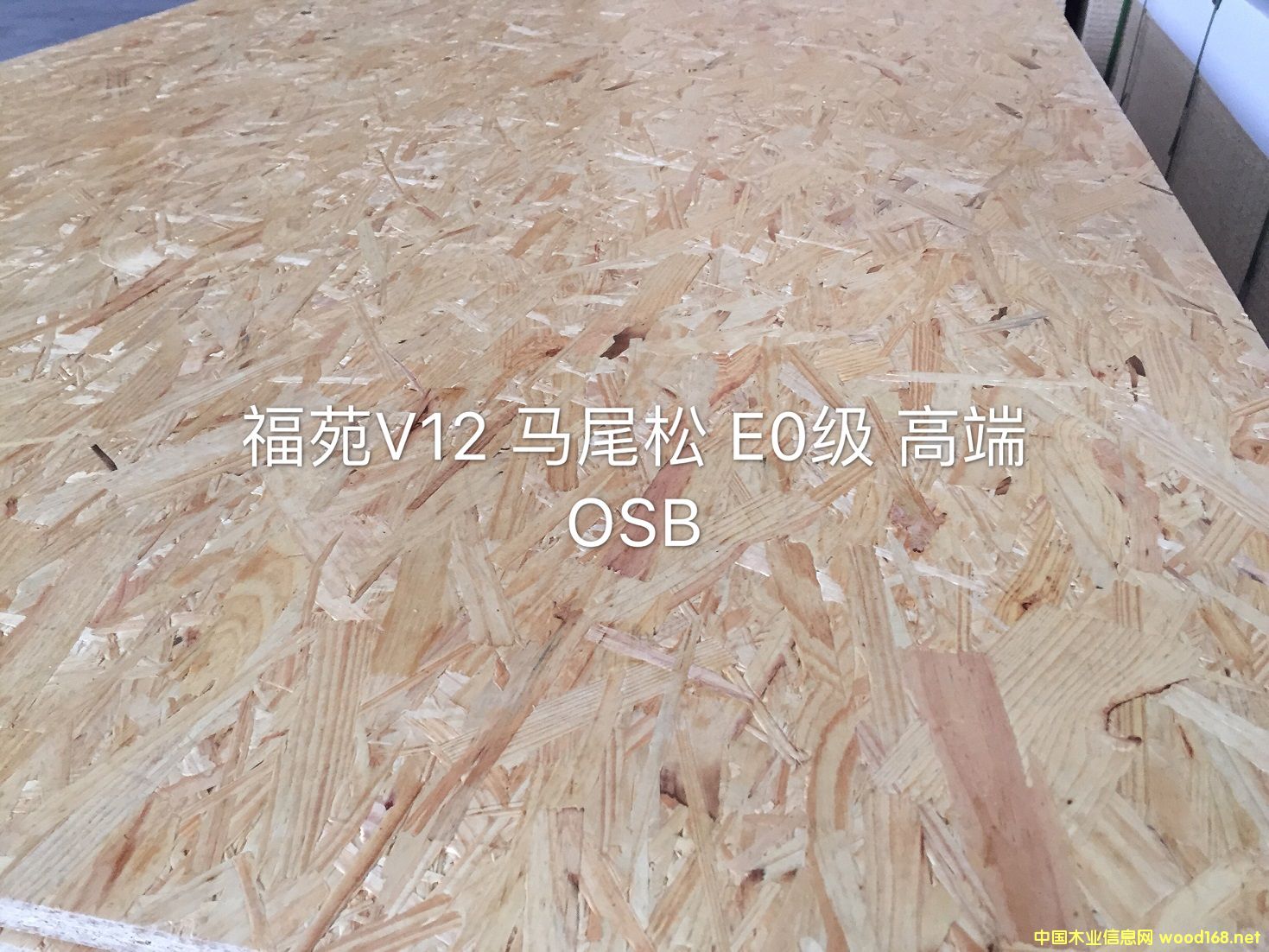 �Rβ��OSB