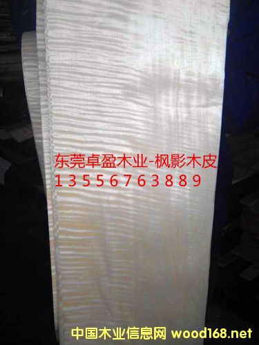 ��ӰľƤ��10�z��20�z��30�z����Ԕ����B