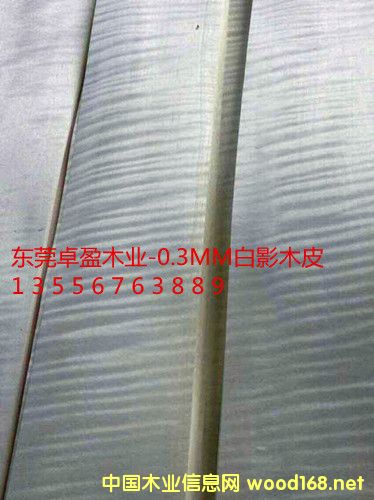 0.3��ӰľƤ����ӰľƤ�����Ԕ����B