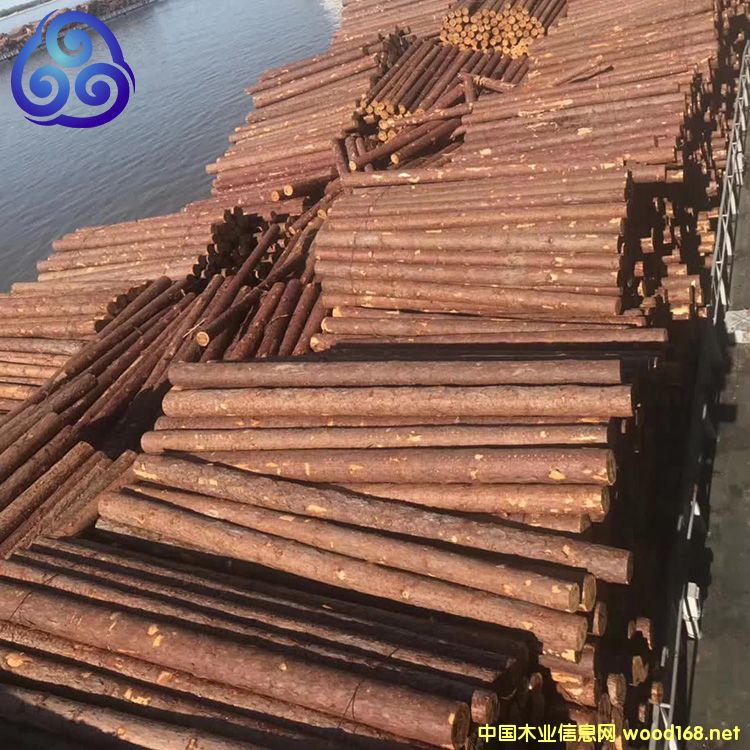 ���~���S���ə_�lľ��