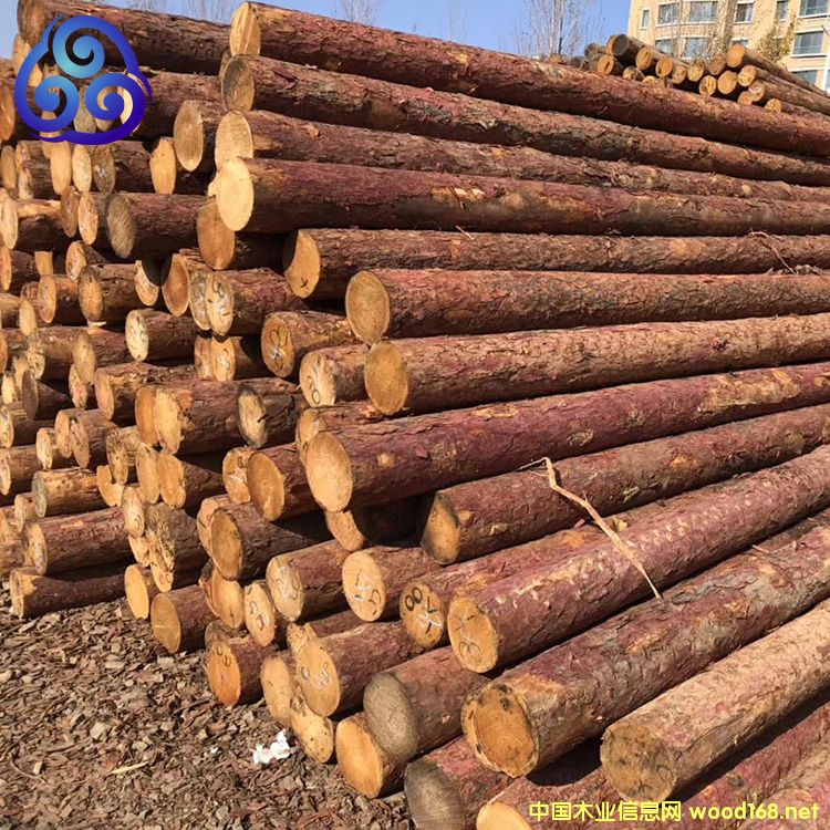 ���~���S���ə_�lľ��