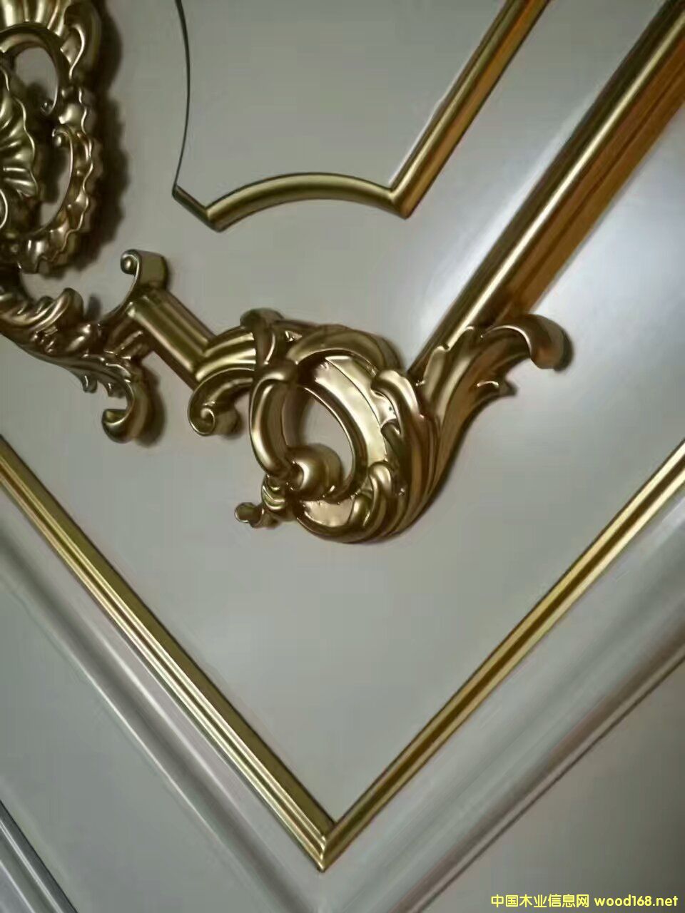 �o����