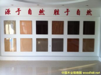 ��(l��)���Ƽ�ľƤ��Ԕ��(x��)��B