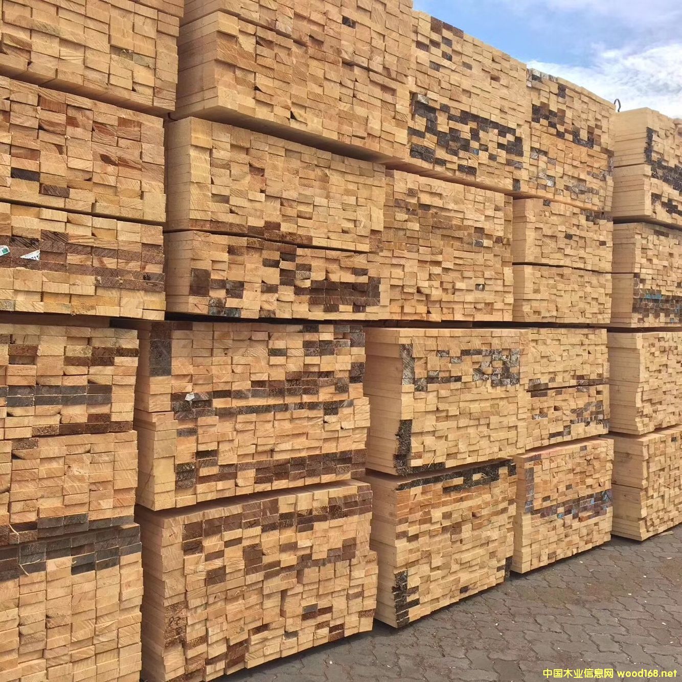 ������ľ �Fɼ��Ԕ��(x��)��B