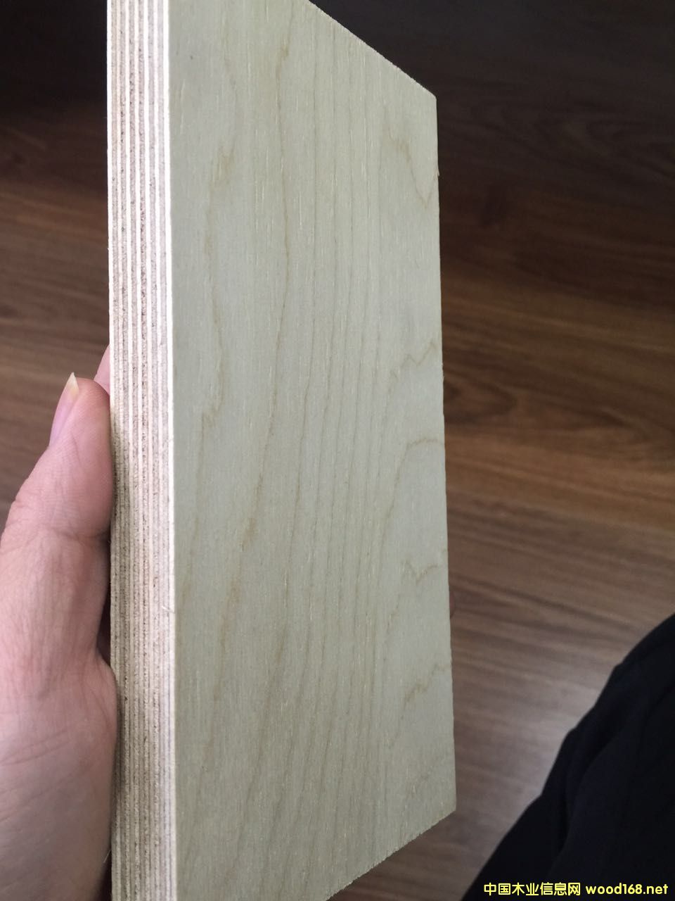 ȫ��ľ�z�ϰ��Ԕ����B