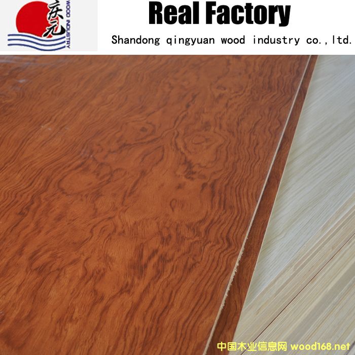 �h����ľ��о���Ԕ����B