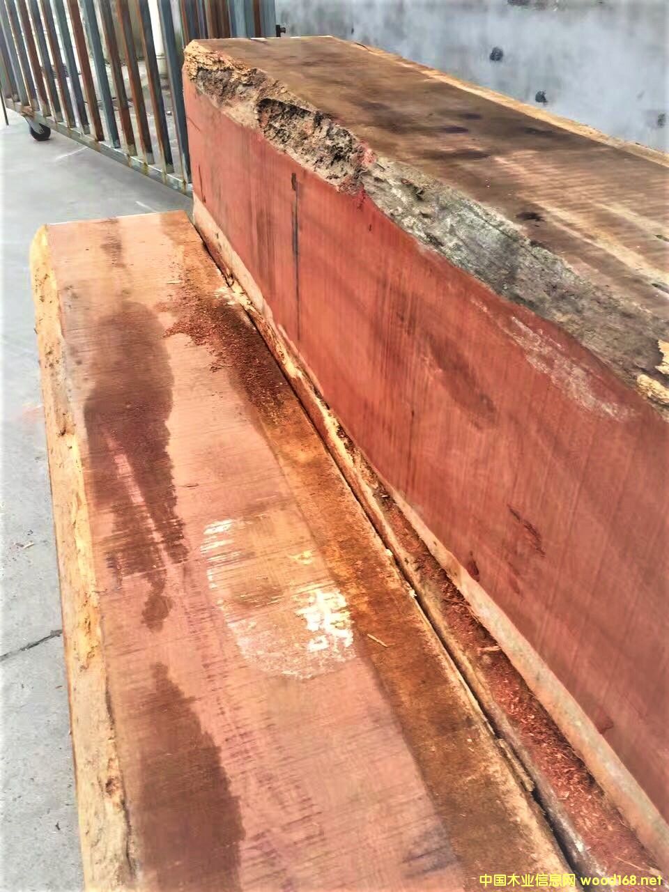 ����Ѫľ��Ԕ����B