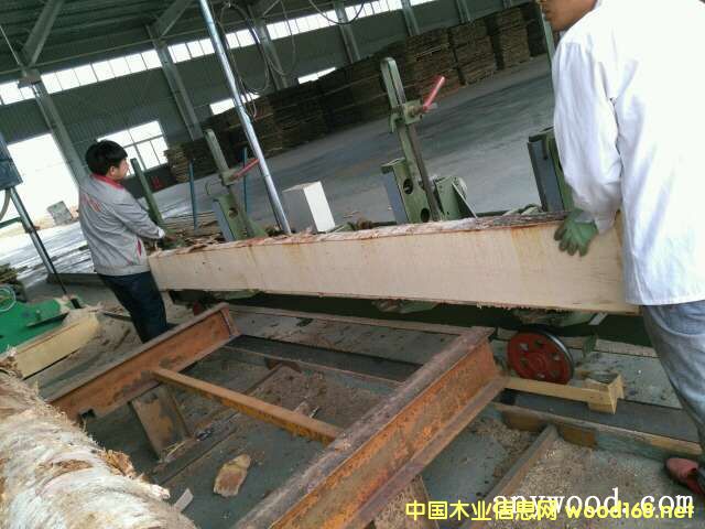 �W��/���_˹��ľë߅��/�R߅���Ԕ����B