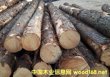 ���������ɵ�Ԕ����B