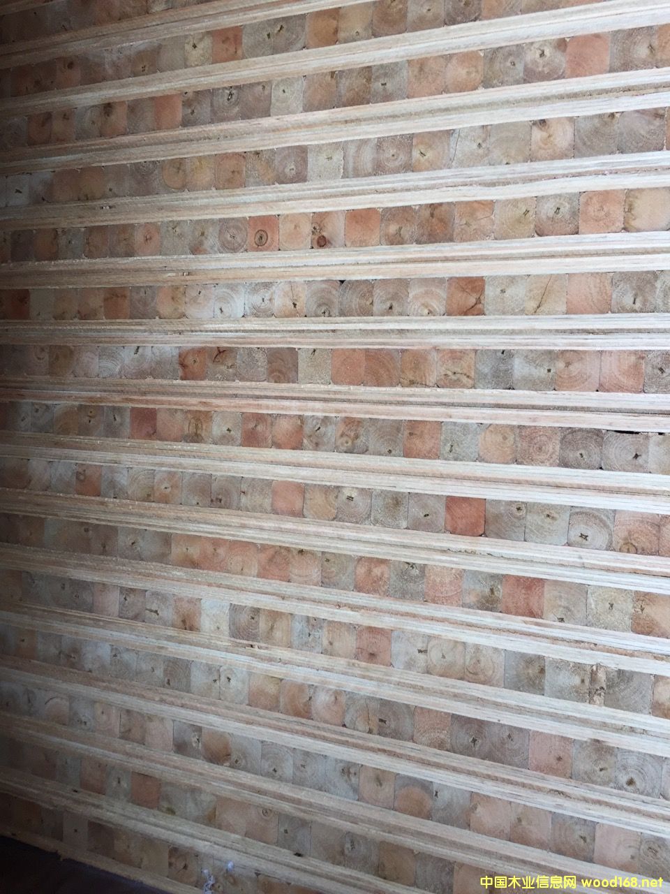 ��ľľо�T�װ��Ԕ����B