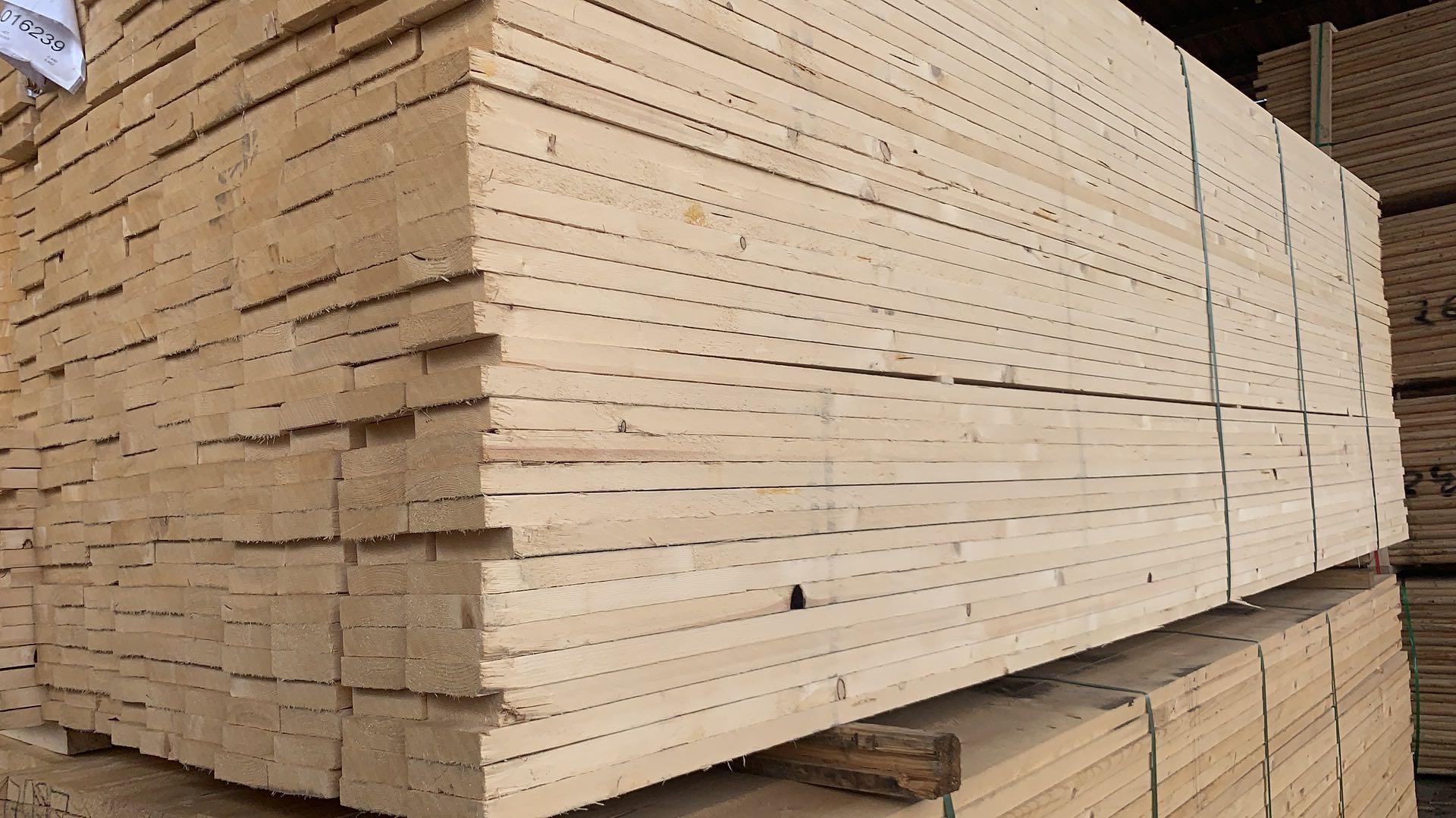 ���_˹���ɰ�ĵ�Ԕ����B