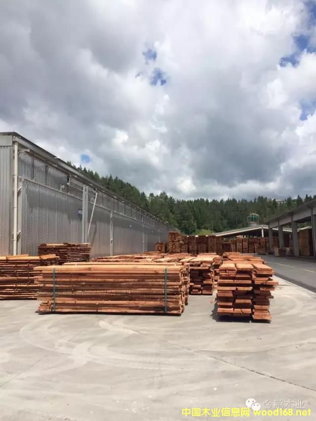 FSC��ľ���