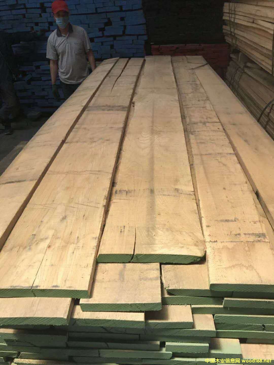 ���������Ԕ����B