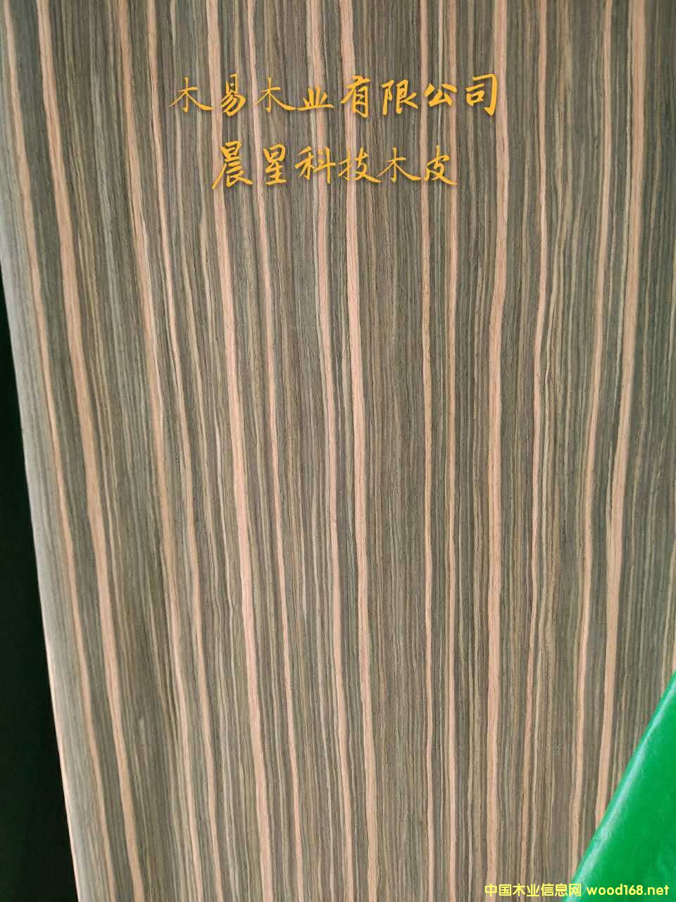 ��̴��Ԕ����B