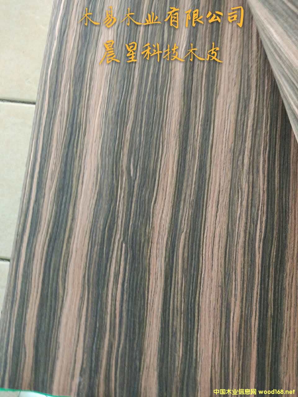 ӡ���̴