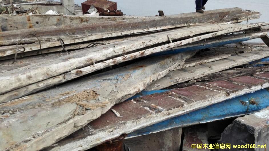 �㽭��ľ���۵�Ԕ��(x��)��B