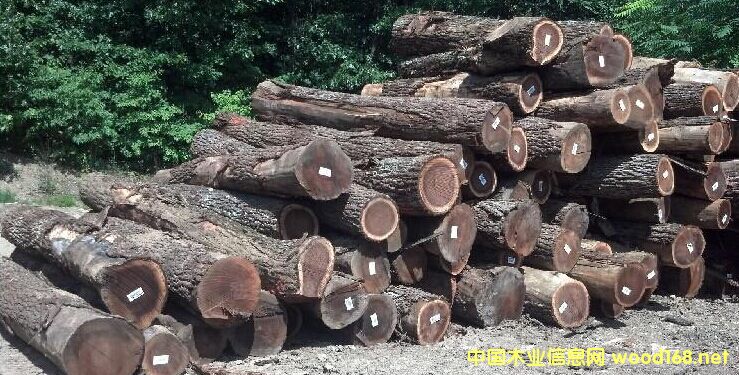 �ں��ҵ�Ԕ��(x��)��B