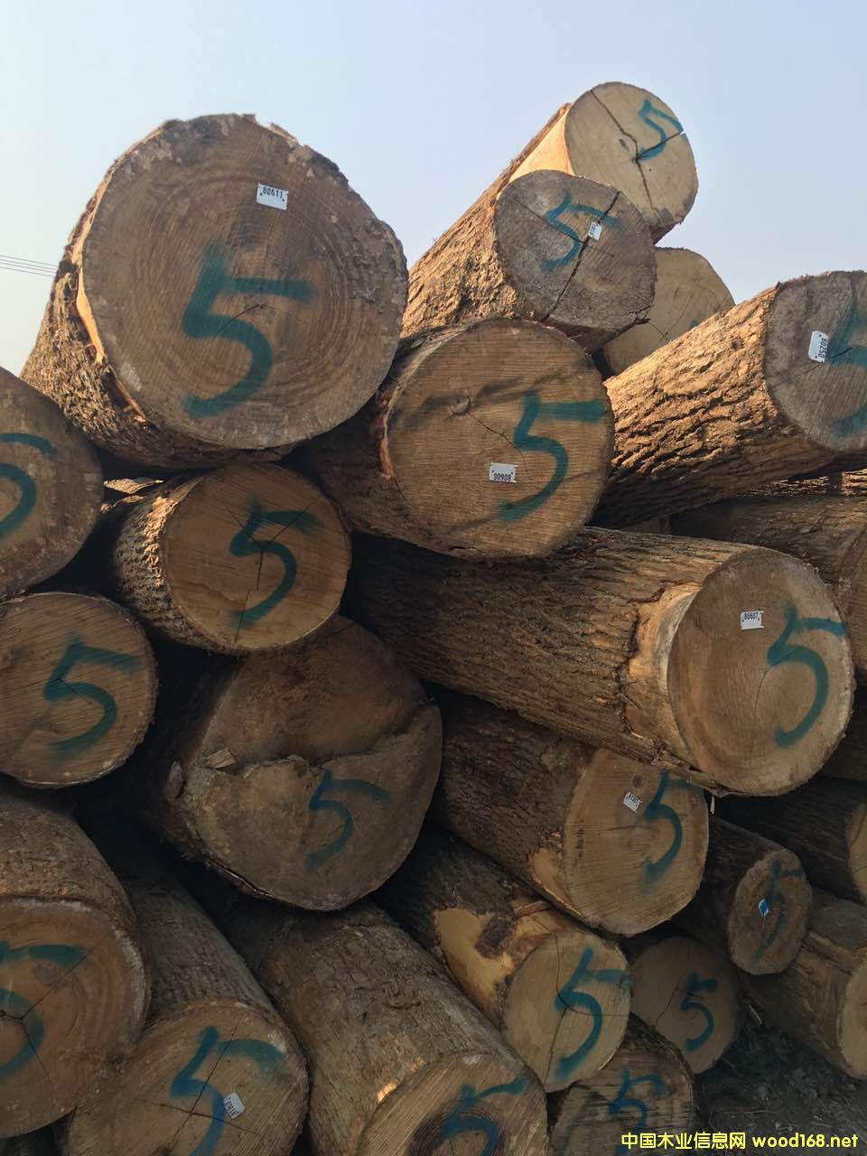 ��Ϟ?z��i)���Ԕ�?x��)��B