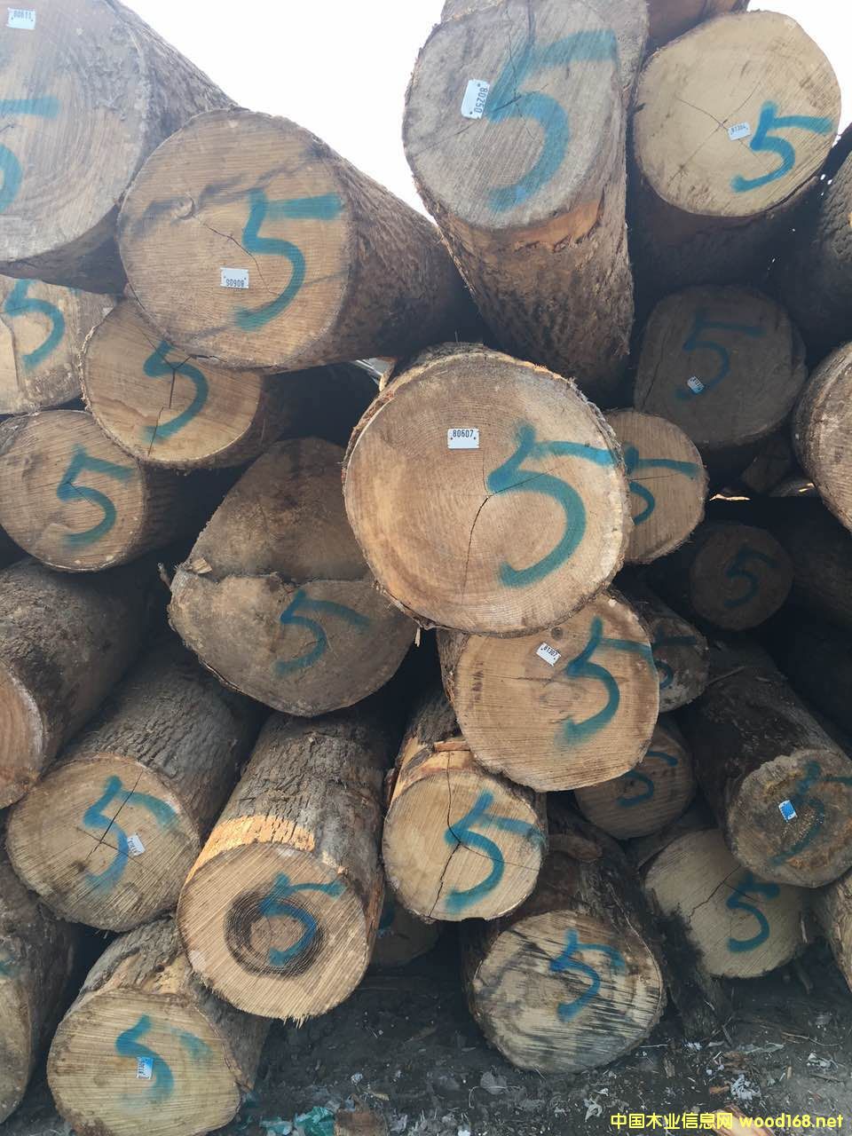 ��Ϟ?z��i)���Ԕ�?x��)��B