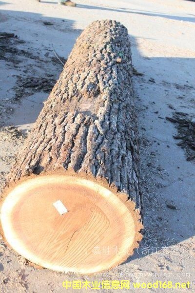 �ں��ҵ�Ԕ��(x��)��B