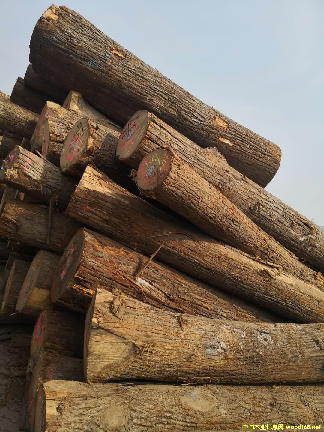 �����ľ��Ԕ����B