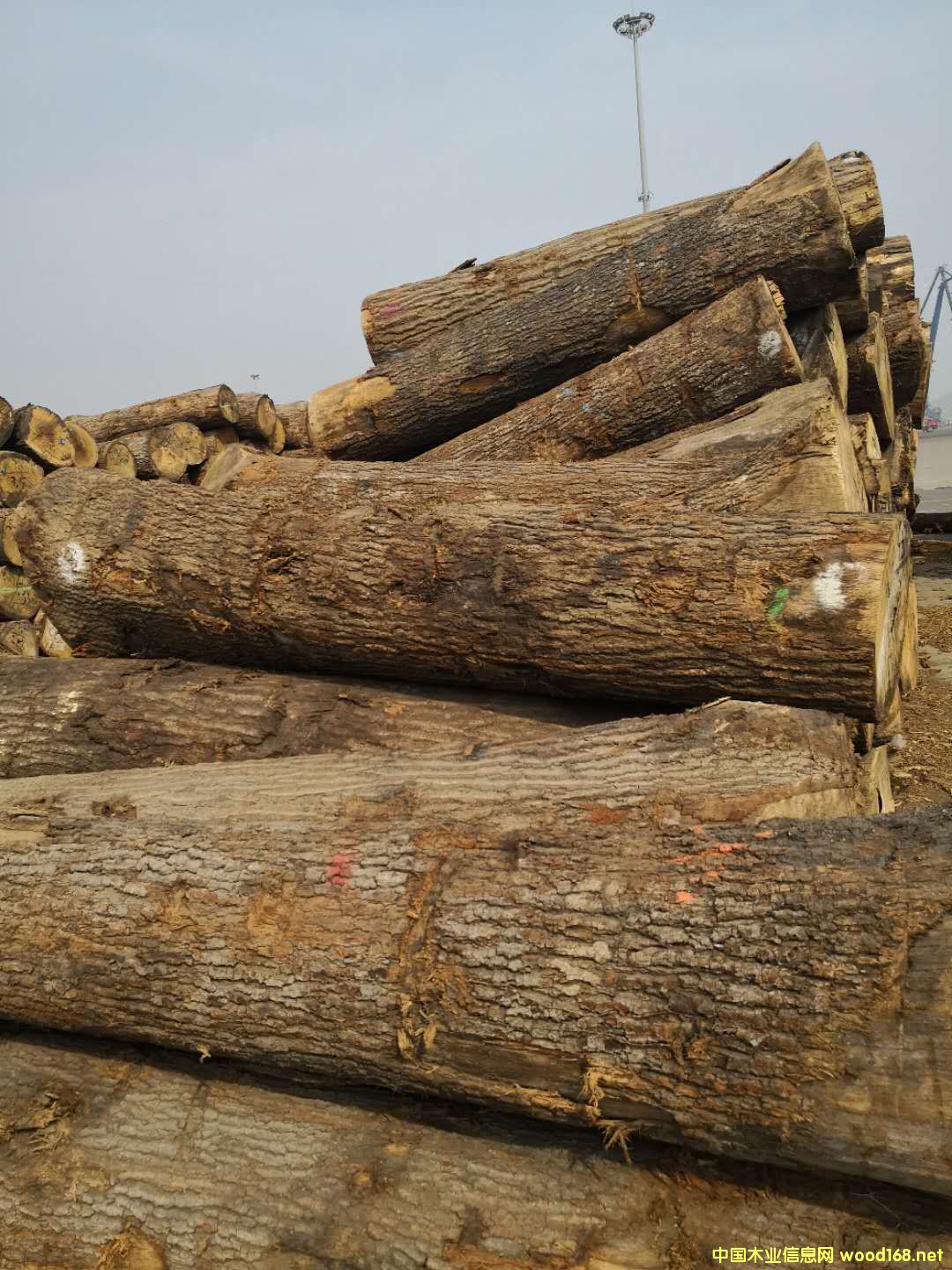 �����t���Ԕ����B