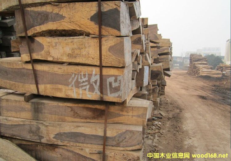 �����M(j��n)��΢���S̴������t��֦