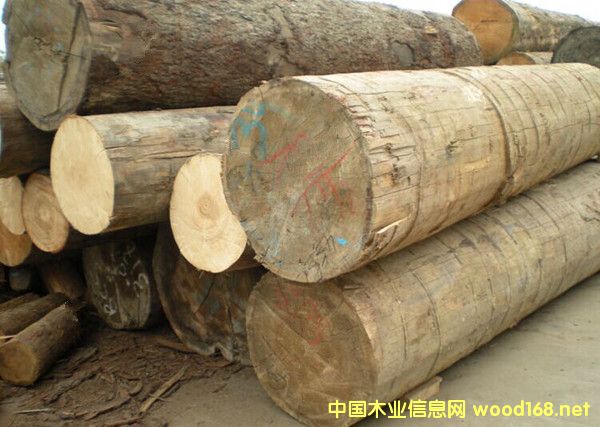 �����M�ڰ���ԭľ