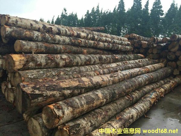 �����M(j��n)�ڶ��_˹��ľԭľ