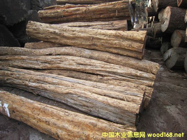 �����M��Īɣ�ȿ˞�ľ�Ϲ�̴ԭľ