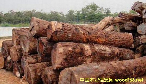 �����M��Īɣ�ȿ˸��޻���ԭľ