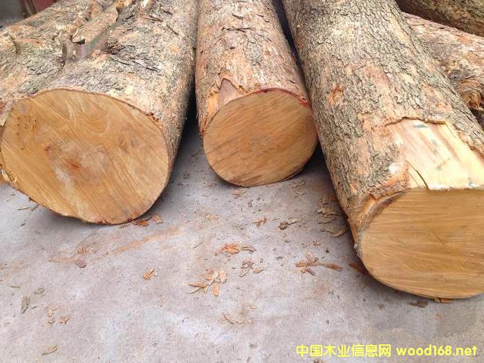 �����M�ھ����z�ľԭľ