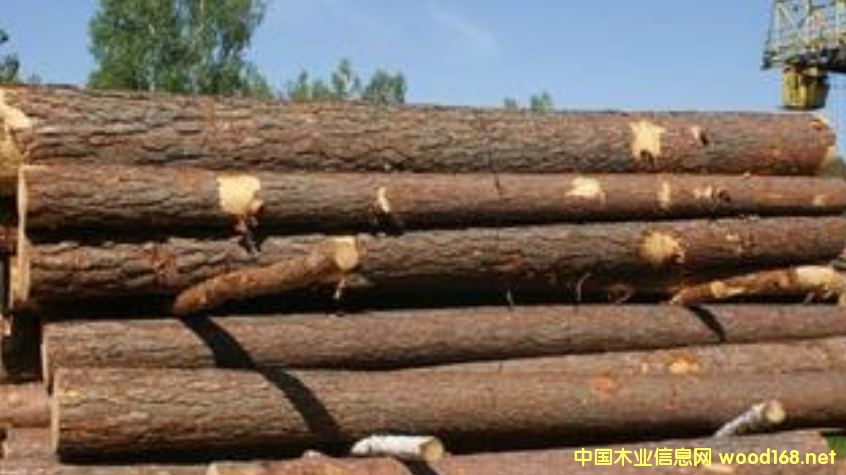 �����M�ڶ��_˹������ԭľ