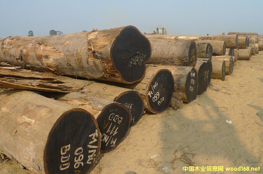 �����M�ڷ��޻���ԭľ