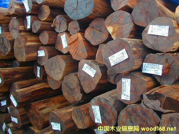 �����M���K�����߼yľԭľ