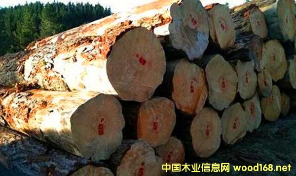 �����M�������mݗ����ԭľ