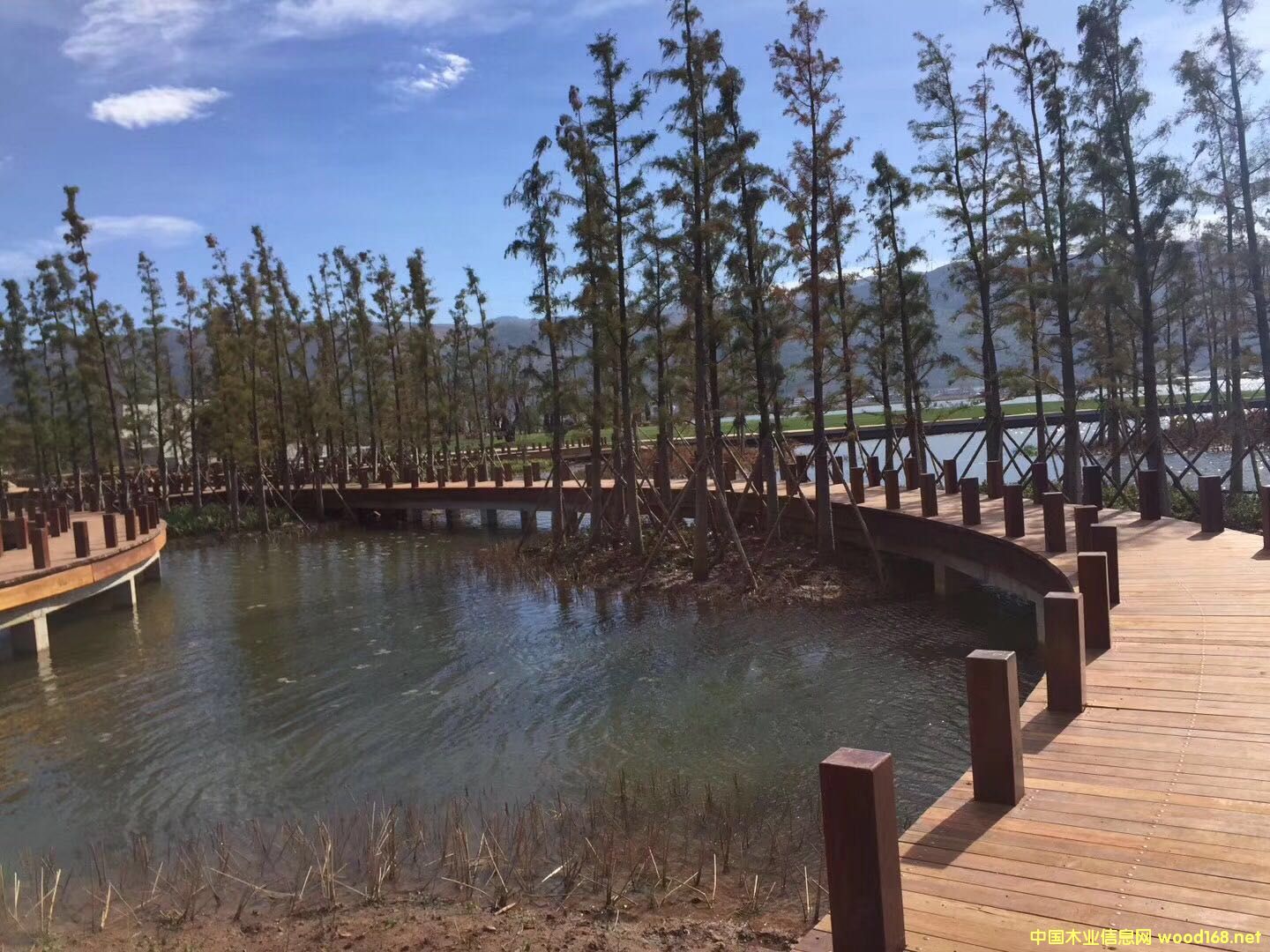 ӡ�Ფ�}���Ԕ����B