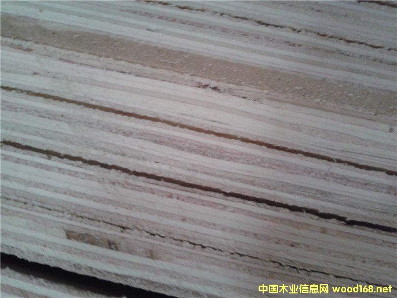 [��] �S��ֱ������ľо�z�ϰ� EO/E1�����ϰ����A����Ӱ��