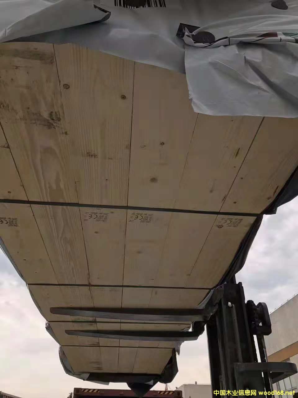 ��ɼ���
