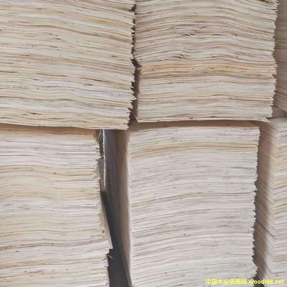 �����o