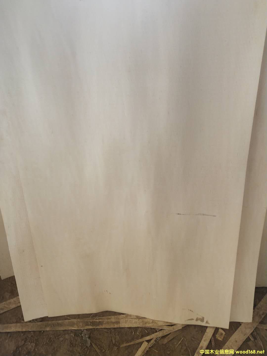 ��ĵ�Ԕ����B