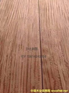 ���|��Ȼɳ����ӰľƤ