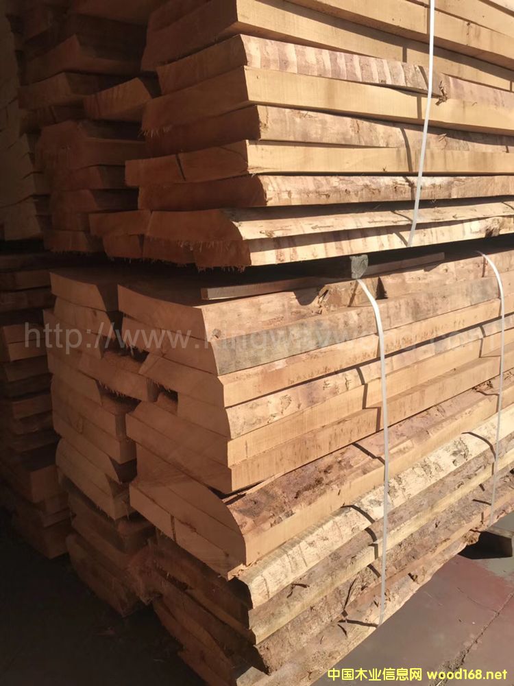 �W�ޙ�ľ��ľ�� ë߅�� �L�ϵ�Ԕ����B