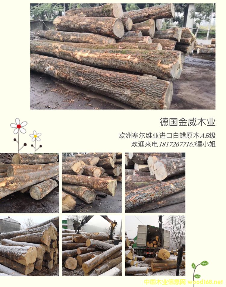 �����W�ް�ϞԭľAB��