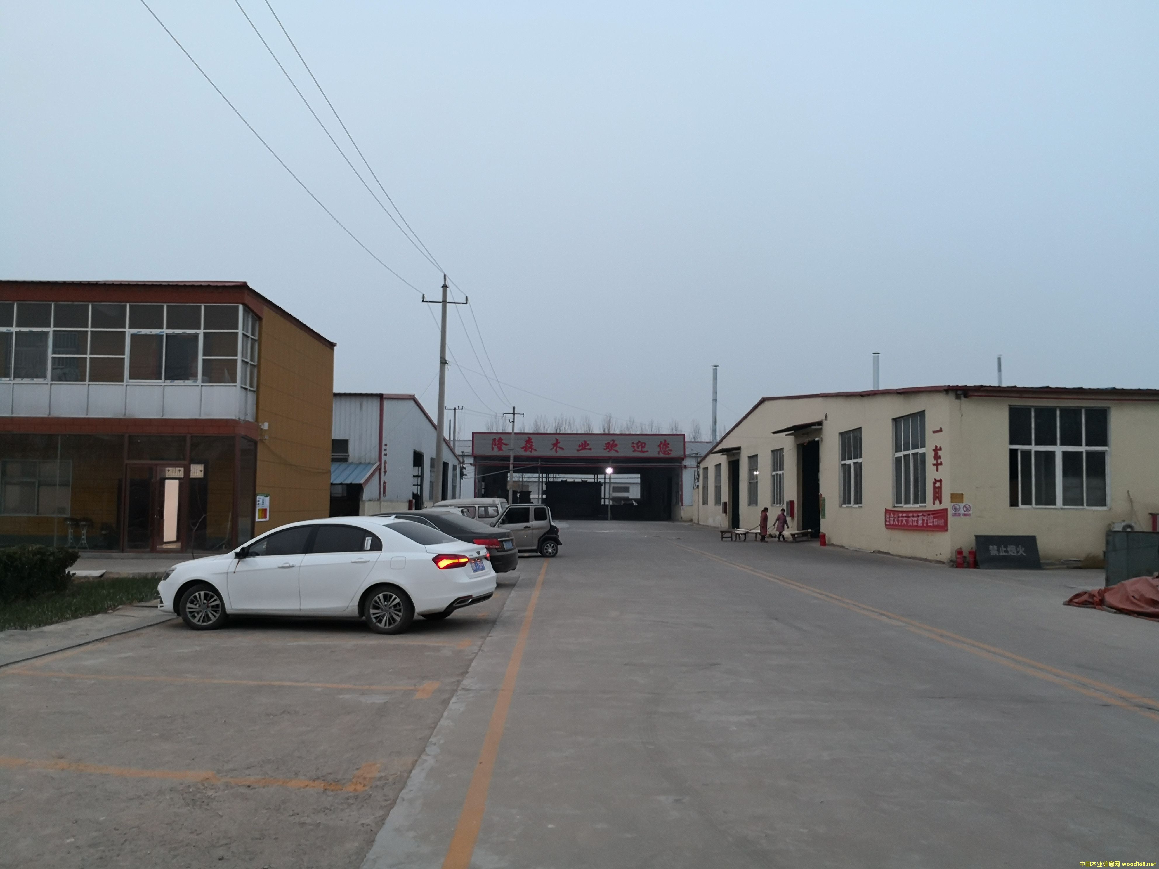 �S����Ԕ����B